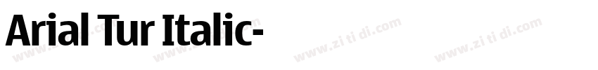 Arial Tur Italic字体转换